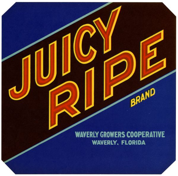 Juicy Ripe Brand Citrus Label