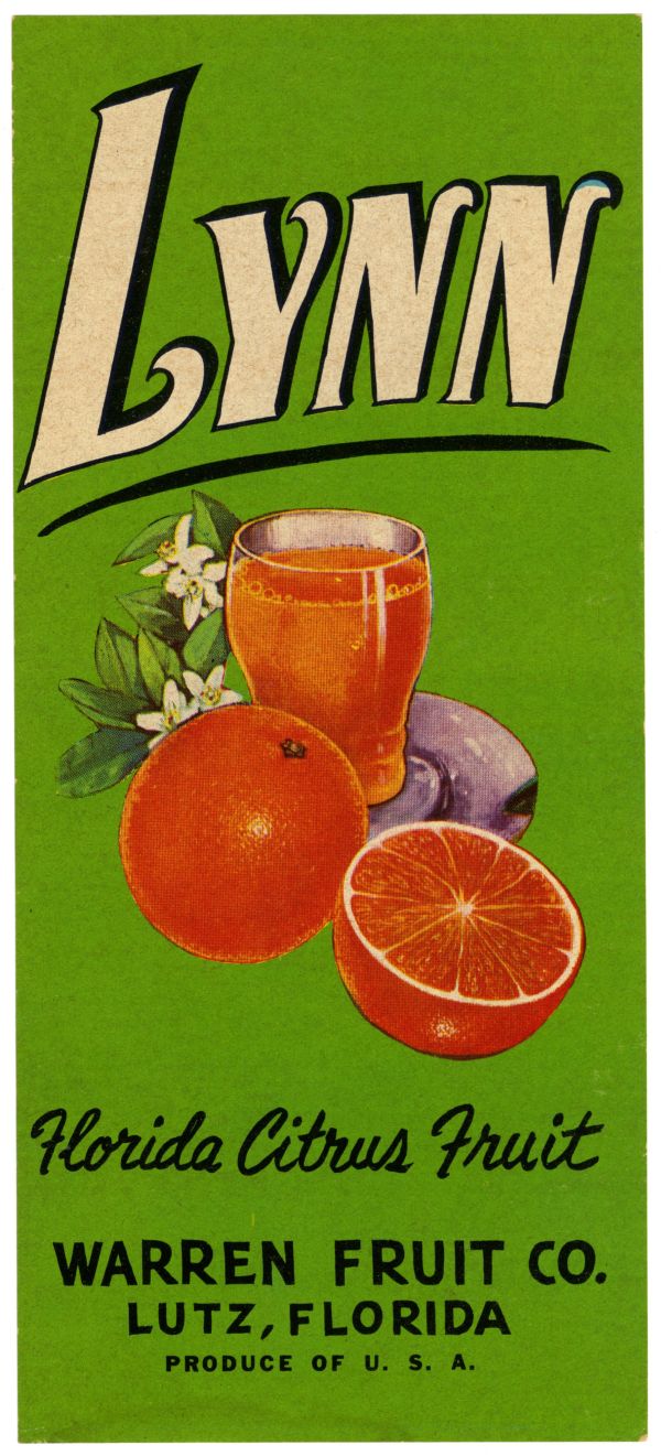 Lynn Florida Citrus Fruit Label