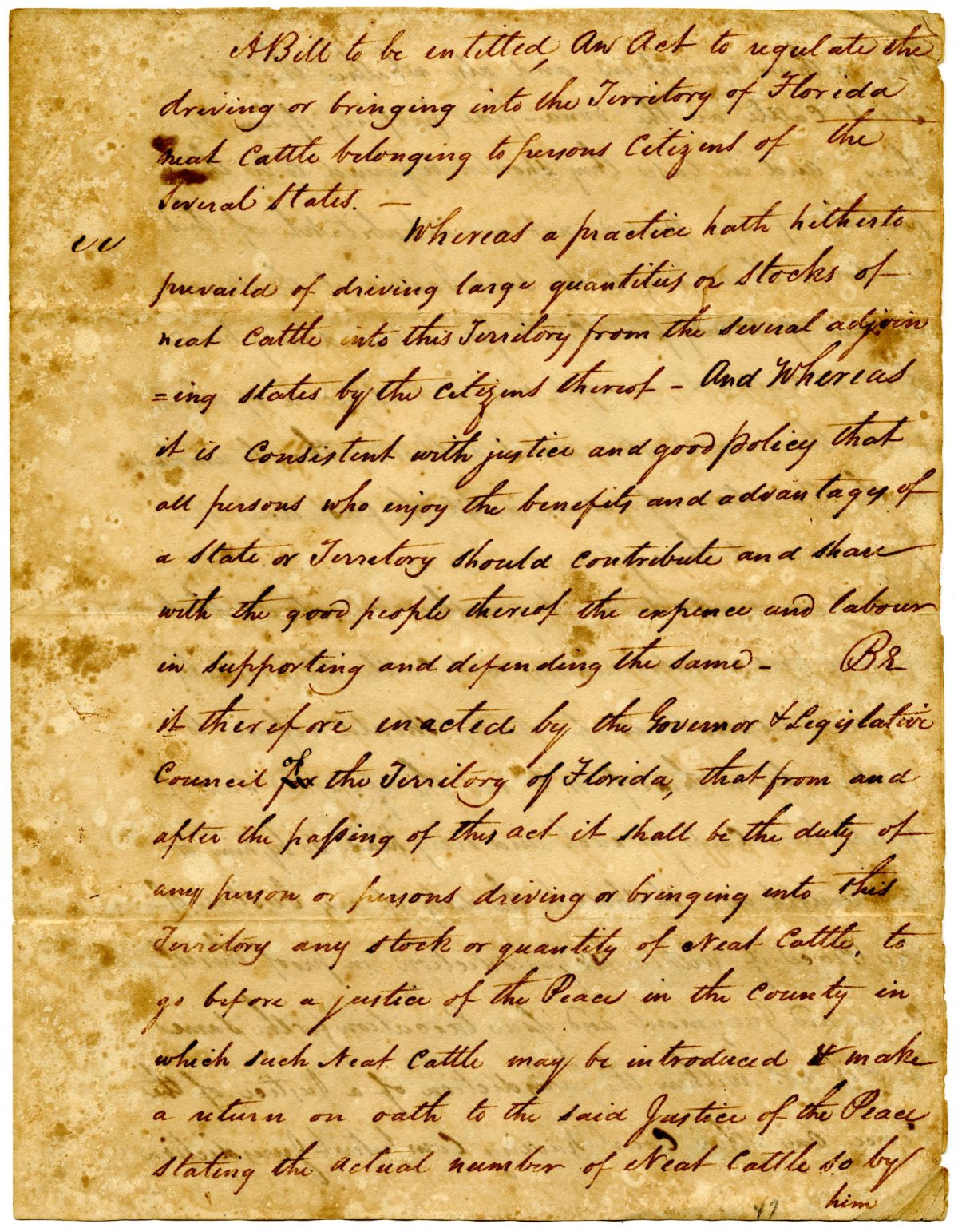 Draft of an Act Levying a Tax on Cattle Brought into the Florida Territory by Citizens of Other States, 1823