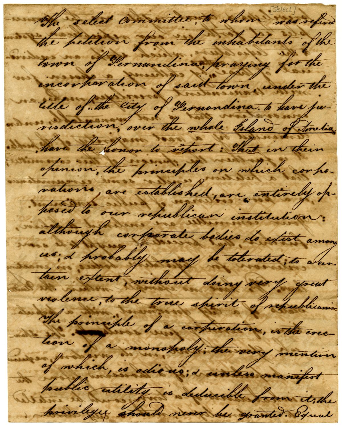 Report of the Select Committee Tasked with Reviewing Fernandina's Petition for Incorporation, 1824