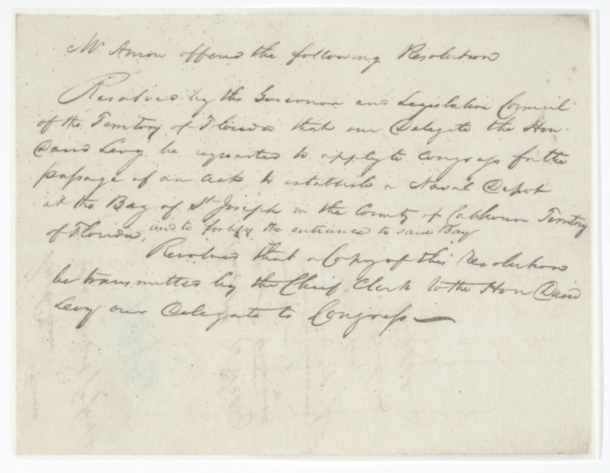 Resolution Calling for the Florida Delegate in Congress to Lobby for the Establishment of a Naval Depot at Saint Joseph Bay, circa 1842