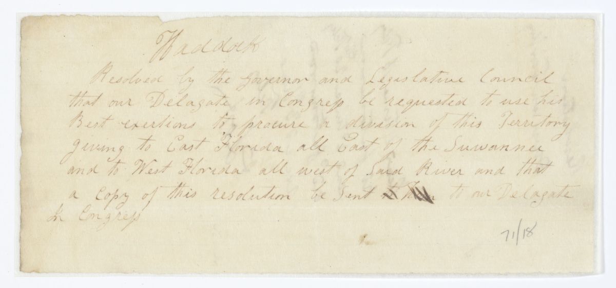 Resolution Directing the Florida Delegate in Congress to Procure a Division of the Florida Territory, circa 1843