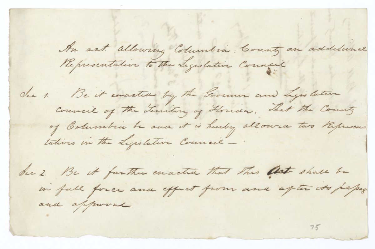 Draft of an Act Allowing Columbia County an Additional Representative to the Territorial Legislative Council, 1844