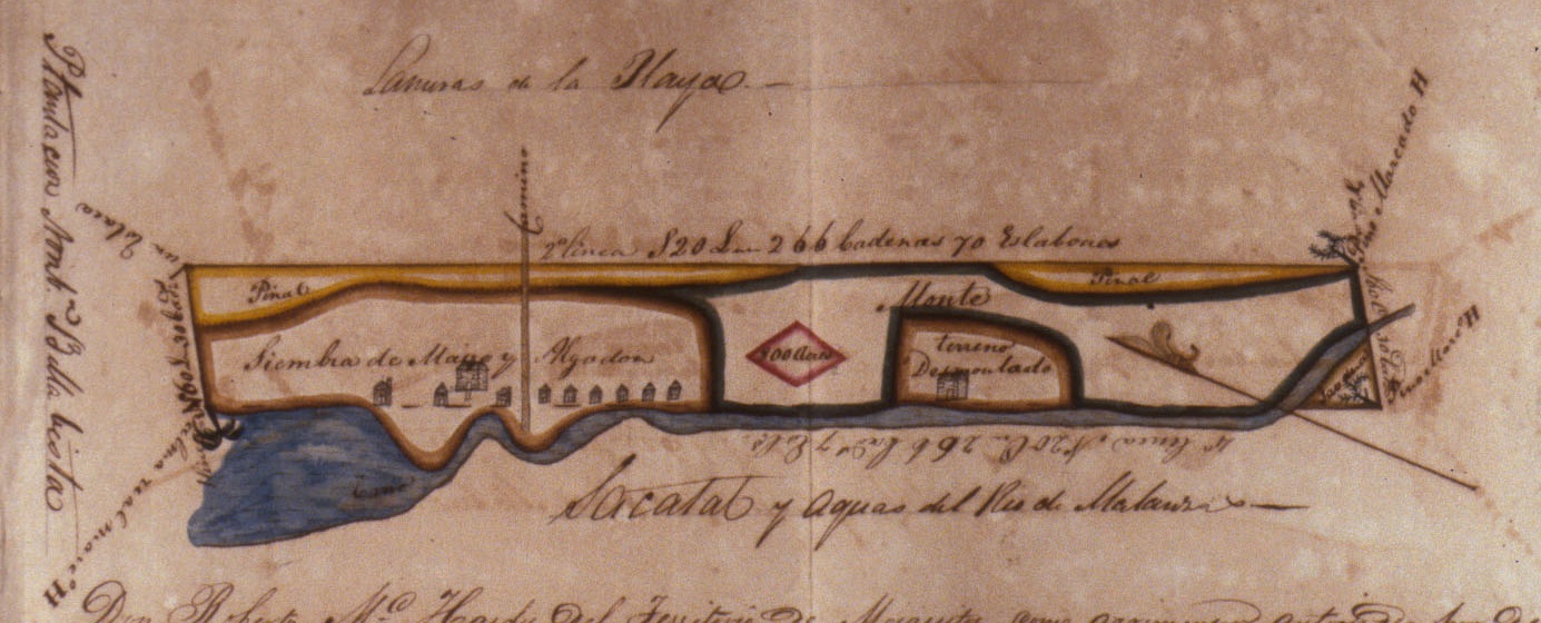 Excerpt of a map of Mala Compra, a plantation owned by Joseph M. Hernandez. Click or tap the image to view a larger, complete version of the map.