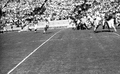 #13 QB Steve Tensi dropping back to pass the football during FSU game in Tallahassee against the University of Kentucky.