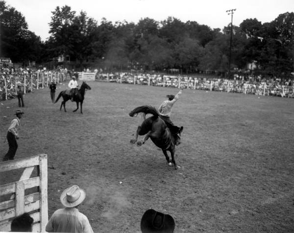 A cowboy struggles to keep his balance as he rides atop a wild horse at the rodeo in Bonifay (1950).