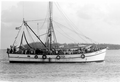 Cuban refugees aboard "Lady Virgo" arriving at Key West from Mariel, Cuba