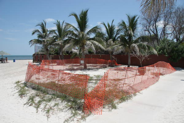 A barricade protects a section of Higgs Beach believed to be the site of the cemetery where hundreds of African refugees were buried in 1860 (photo 2006).