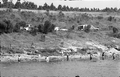 View showing people fishing in the Cross Florida Barge Canal.