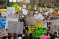 Close-up view showing signs being held up by student demonstrators at the Never Again Rally in Tallahassee.