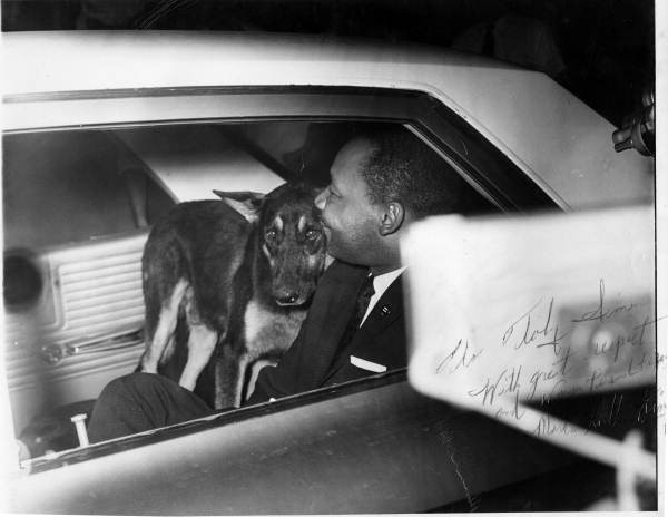 Dr. Martin Luther King, Jr. in the back of a police car after facing the St. Johns County grand jury in June 1964.