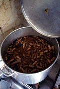 Boiled peanuts being cooked in a pot - Jacksonville, Florida.