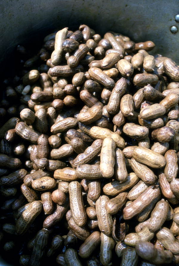 Boiled Florida peanuts (1988).