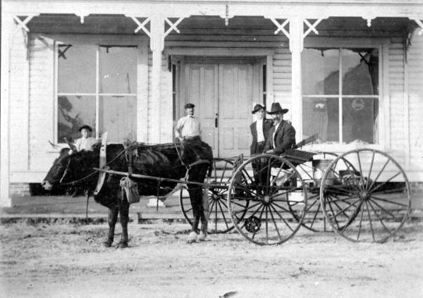 Beeson Brothers' Drug Store on Main Street in Wauchula. This firm was established in 1905 when W.B. and Dr. J. Mooring Beeson, the latter a graduate of the Medical College of Alabama, set up shop with a stock of no more than $50 worth of drugs (photo circa 1905).