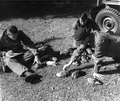 Dale Crider, Jimmie McDaniel and unidentified worker checking birds.