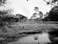 Abandoned turpentine camp