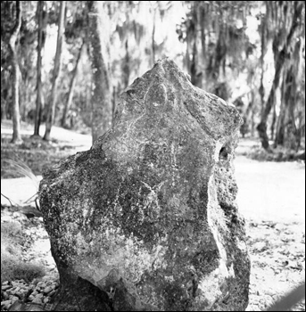 Limestone stele (Stele #1) at Crystal River State Park : Crystal River, Florida (196-)