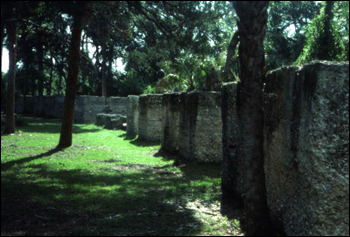 View showing tabby slave cabin remains at Kingsley Plantation State Historic Site : Fort George Island, Florida. (1977)