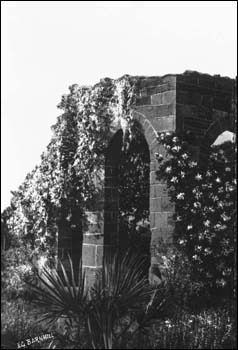 Close-up of building at the New Smyrna Sugar Mill Ruins State Historic Site : Volusia County, Florida (192-)