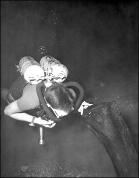 Scuba diver recovering mastodon bone from Wakulla Springs (195-)