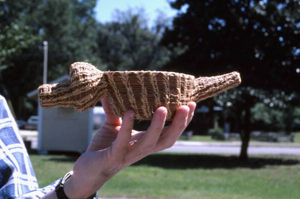 Pine needle alligator made by Jean Bishop: Orlando, Florida (1987)