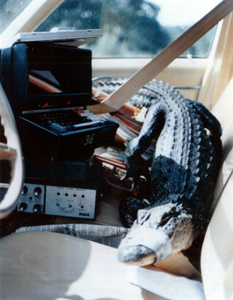 Alligator and scientific equipment in the cab of a car (19--)