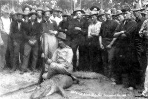 Alligator shot by the captain of 4th Illinois Volunteers: Jacksonville, Florida (1898)