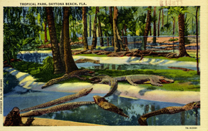 Tropical park: Daytona Beach, Florida (1937)