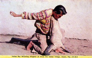 Indian boy wrestling alligator at Musa Isle Indian village: Miami, Florida (19--)