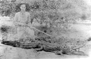 Clifford Lucky kneeling over an alligator he captured (ca. 1917)