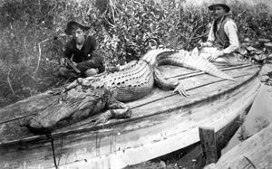 Two hunters with alligator: Ocala, Florida (1890s)