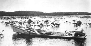 Alligator hunters in a boat with an alligator (1913)