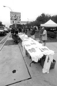 T-shirt selling on Monroe street during the 2000 presidential election vote dispute (2000)