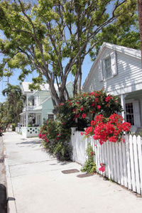 Scenic view showing conch house at 923 Southard Street: Key West, Florida (2006)