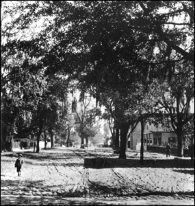 Forsyth Street (late 1800s)