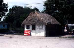 Chickee snack building: Big Cypress Seminole Indian Reservation (c. 1970s)