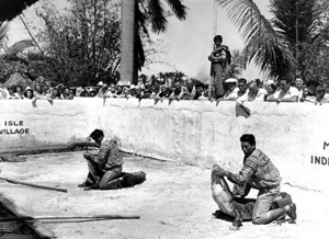 Demonstration of Seminole alligator wrestling (1940s)