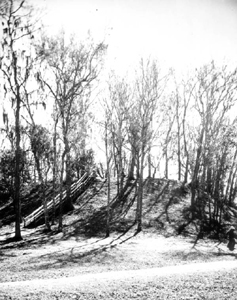 Mound near Lake Jackson in Tallahassee, Florida (1980s)