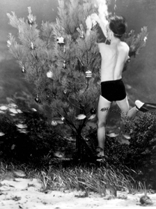 Bud Bassette decorating an underwater Christmas tree at Weeki Wachee (1948)