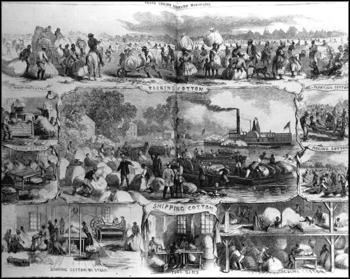 Scenes of the Cotton trade (1862)