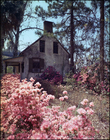 Possible former slave quarters at "The Columns": Tallahassee, Florida (1967)