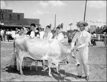 Dairymaids and cowhand with cow at Tupperware Jubilee (1955)