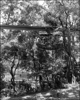 View of the monorail car at Rainbow Springs: Dunnellon, Florida (1968)