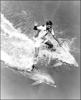 An animal trainer for Sea World riding two dolphins: Orlando, Florida