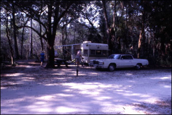 View showing area for camping at the Hillsborough River State Park: Thonotosassa, Florida (197-)