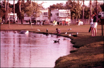 View of visitors feeding ducks near campers at the Busch Gardens amusement park: Tampa, Florida (19--)