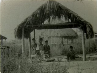 Scenes of the Everglades