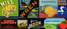 Florida Crate Labels, 1920s-1950s