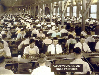 Men and women making cigars by hand: Tampa, Florida (192-)