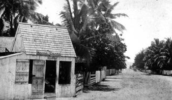 Havana-American cigar factory in Ybor City: Tampa, Florida (19--)